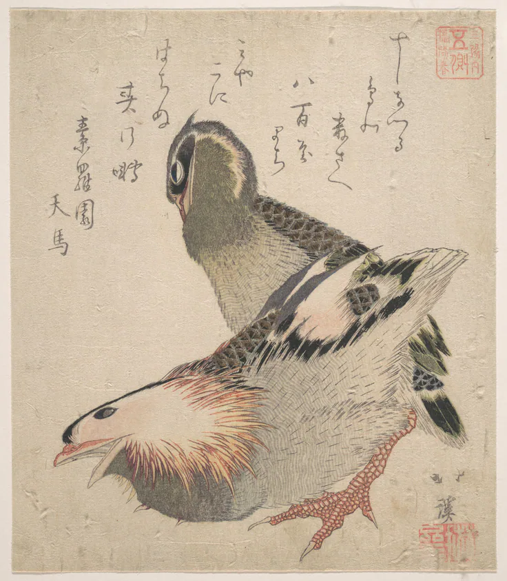 Two Birds: woodblock print (surimono); ink and color on paper by Totoya Hokkei.