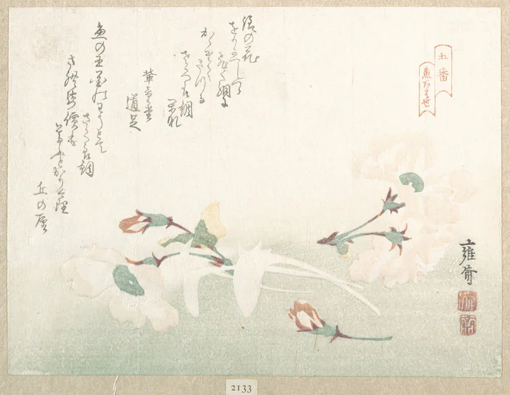 Cherry Flowers: woodblock print (surimono); ink and color on paper by Kikuchi Yōsai, 19th century.