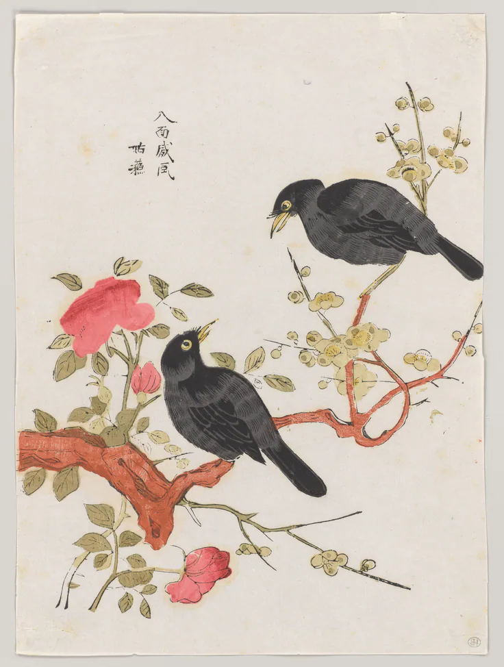 Mynah Birds: polychrome woodblock print; ink and color on paper by China, Suzhou, 18th century.